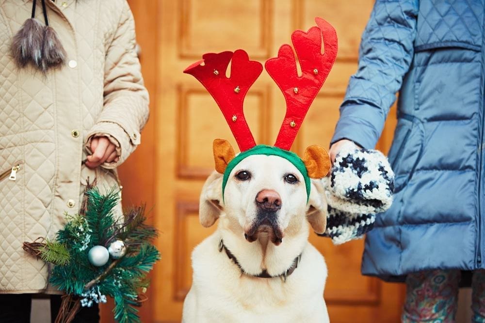 Christmas 2018