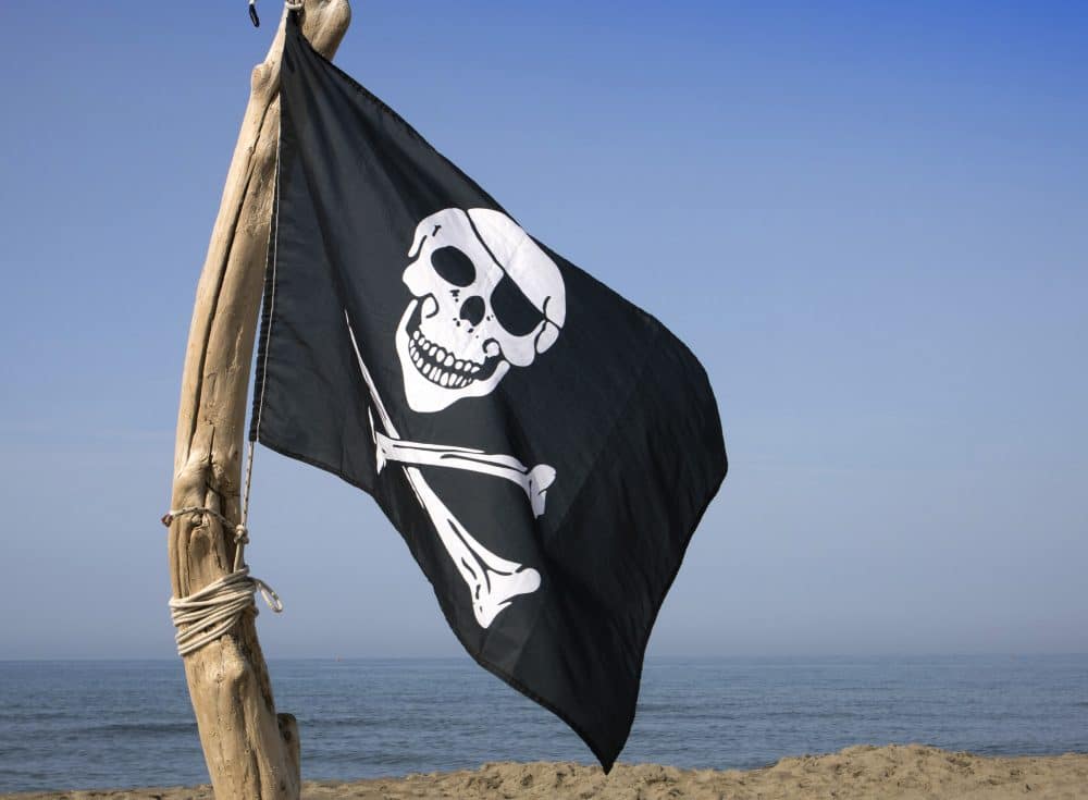 Pirate Flag - Pirate Media