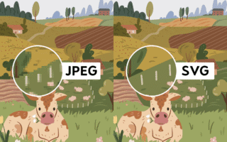 SVG vs PNG - side by side comparison